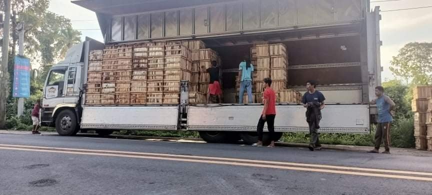 AVLA Trucking Operations